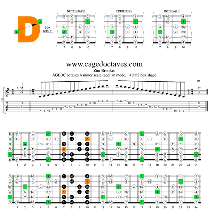 AGEDC octaves A minor scale : 4Dm2 box shape