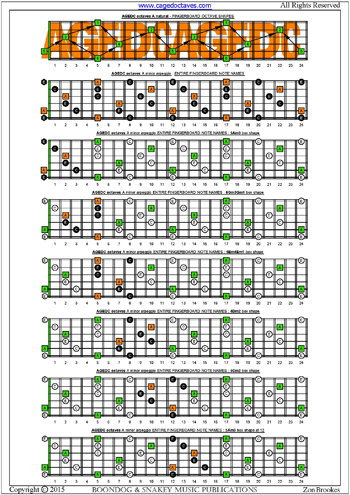 AGEDC octaves A minor arpeggio box shapes : entire fretboard notes