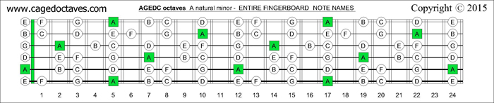 AGEDC octaves fingerboard A minor scale note names