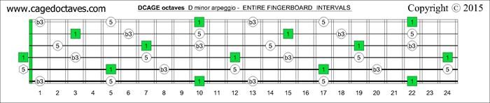 DCAGE octaves fingerboard D minor arpeggio intervals