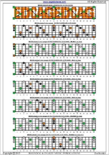 EDCAG octaves E minor arpeggio box shapes : entire fretboard notes