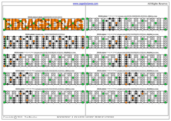 EDCAG octaves E phrygian mode 3nps box shapes : fretboard notes