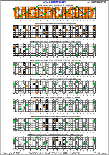 CAGED octaves B locrian mode box shapes : entire fretboard notes