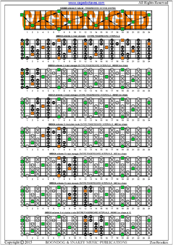 CAGED octaves B locrian mode box shapes : entire fretboard intervals