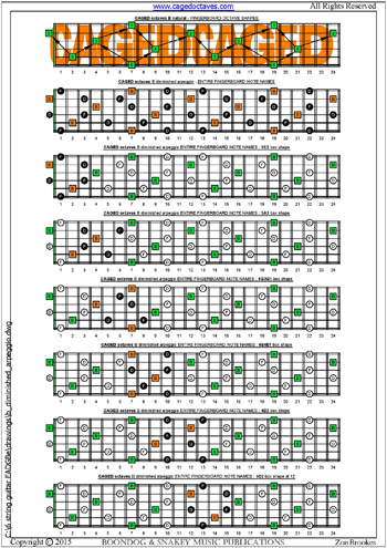 CAGED octaves B diminished arpeggio box shapes : entire fretboard notes