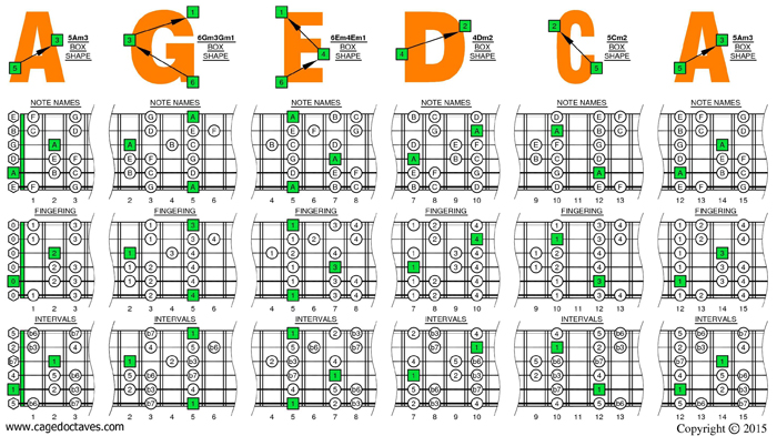 AGEDC octaves A minor scale box shapes