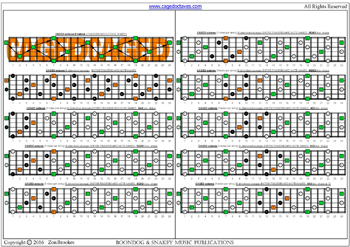 CAGED octaves B diminished arpeggio (3nps) box shapes : fretboard notes