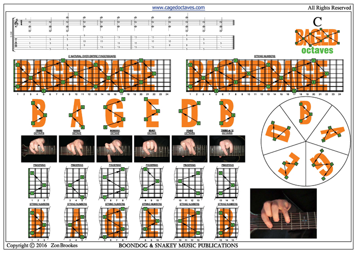 BAGED octaves : C natural octave shapes