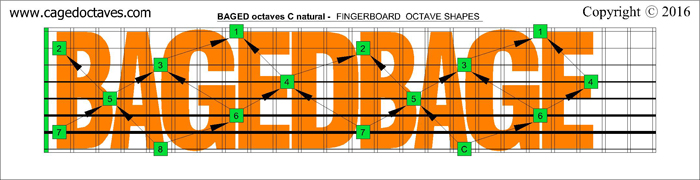 BAGED octaves : C natural