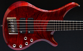 Vigier Passion IV Custom 5