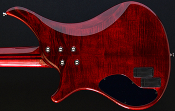 Vigier Passion IV Custom 5