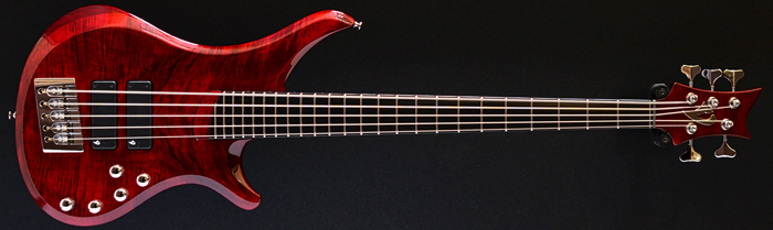 Vigier Passion IV Custom 5