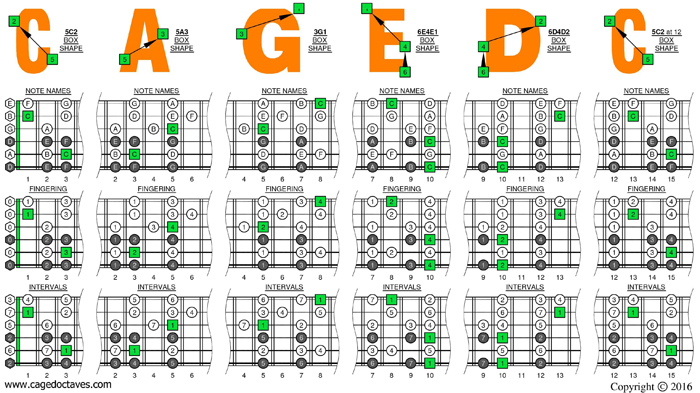 C major scale (drop D) 3nps box shapes