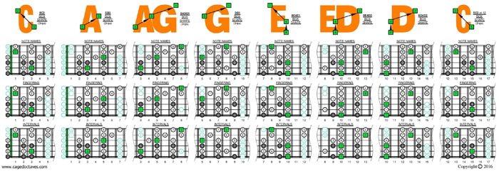 C major scale (drop D) 3nps box shapes