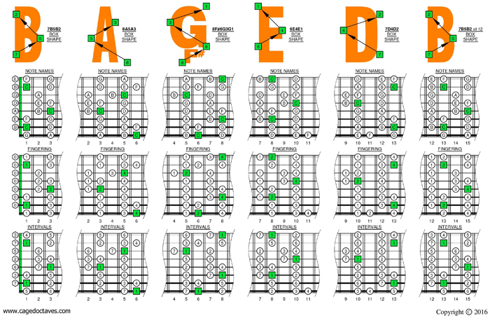 BAF#GED Low G: 8 string - C major scale box shapes