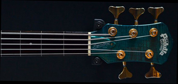 Pedulla PentaBuzz5 Fretless