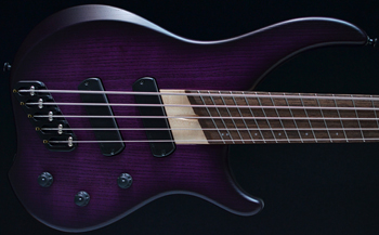 Dingwall ABZ5 Purpleburst