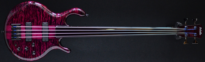 Pedulla Buzz fretless