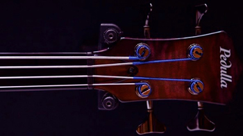 Pedulla Buzz fretless