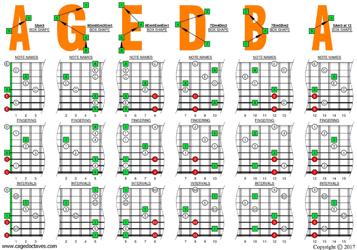 A minor arpeggio (8-string: Drop E) box shapes