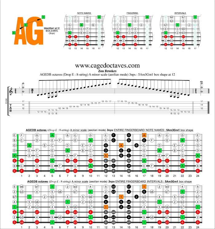 AGEDC octaves (8-string : Drop E) A minor scale (aeolian mode) 3nps : 5Am3Gm1 box shape at 12