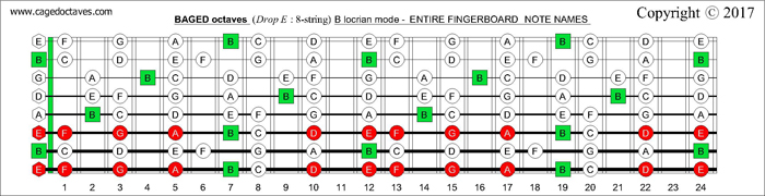 BAGED octaves B natural fretboard