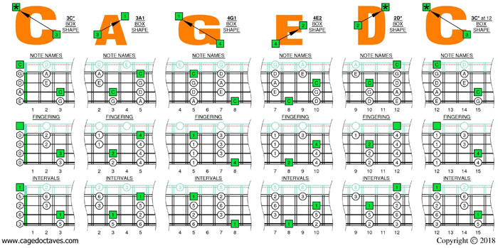 CAGED4BASS C pentatonic major scale box shapes