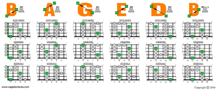 C major blues scale (5-string bass: Low B) box shapes