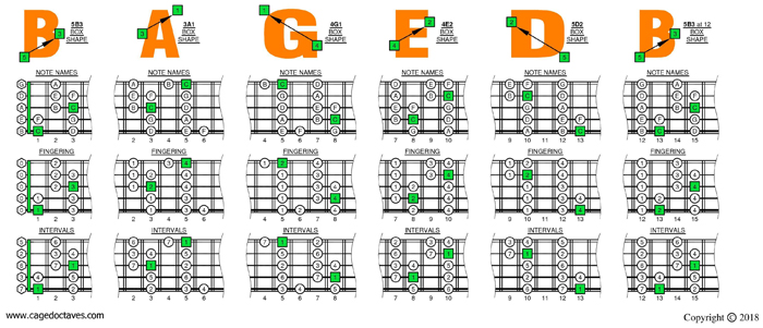 BAGED octaves C major scale box shapes