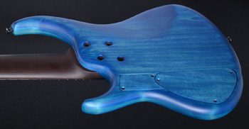 MTD 535/24 Myrtle Burl Blueburst