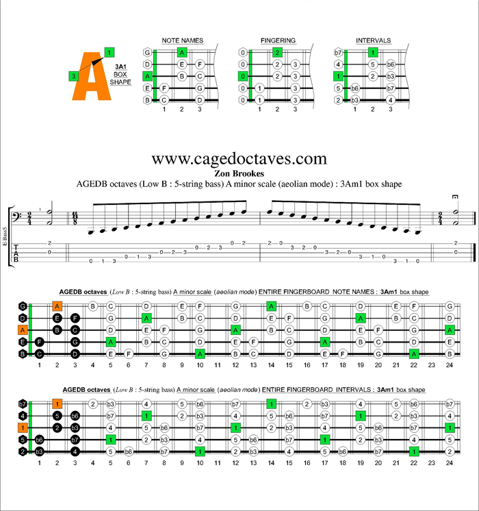 AGEDB octaves A minor scale : 3Am1 box shape