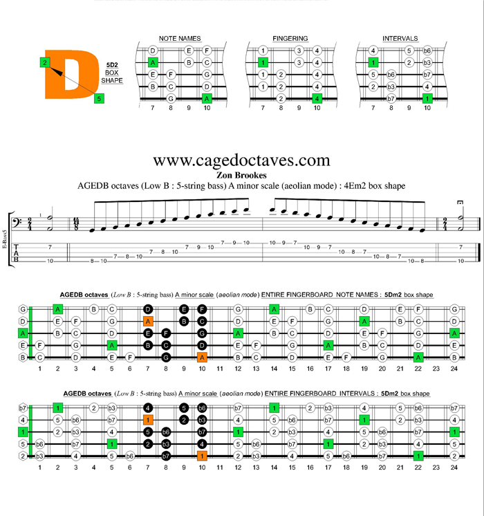 AGEDB octaves A minor scale : 5Dm2 box shape