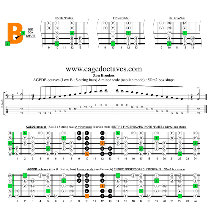 AGEDB octaves A minor scale : 5Bm3 box shape