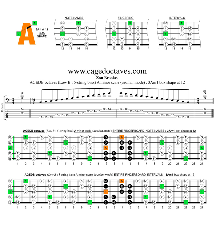 AGEDB octaves A minor scale : 3Am1 box shape at 12