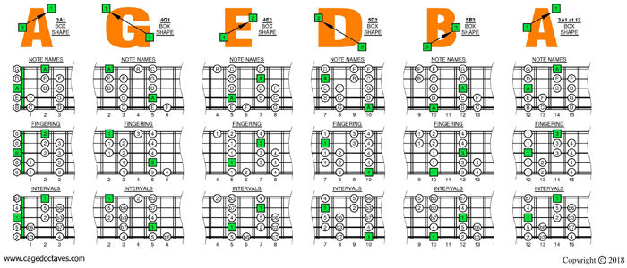 AGEDB octaves A minor scale box shapes