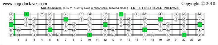 AGEDB octaves fingerboard A minor scale note intervals