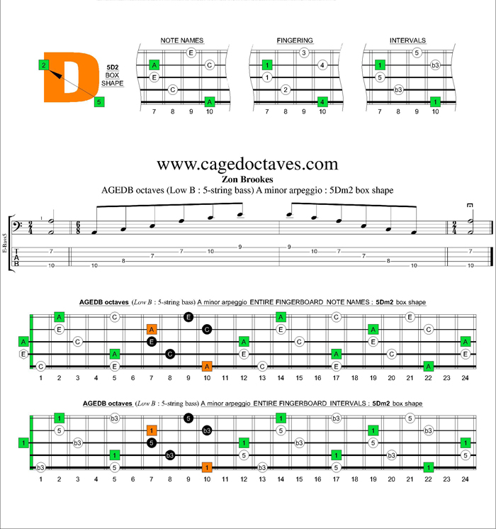 AGEDB octaves A minor arpeggio : 5Dm2 box shape