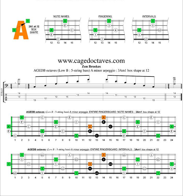 AGEDB octaves A minor arpeggio : 3Am1 box shape at 12