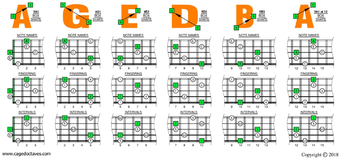 AGEDB octaves A minor arpeggio box shapes