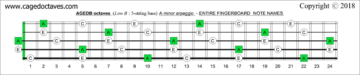 AGEDB octaves fingerboard A minor arpeggio note names