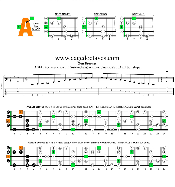 AGEDB octaves A minor blues scale : 3Am1 box shape