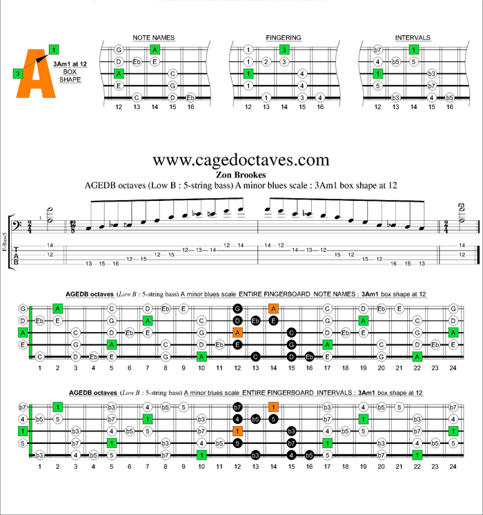 AGEDB octaves A minor blues scale : 3Am1 box shape at 12