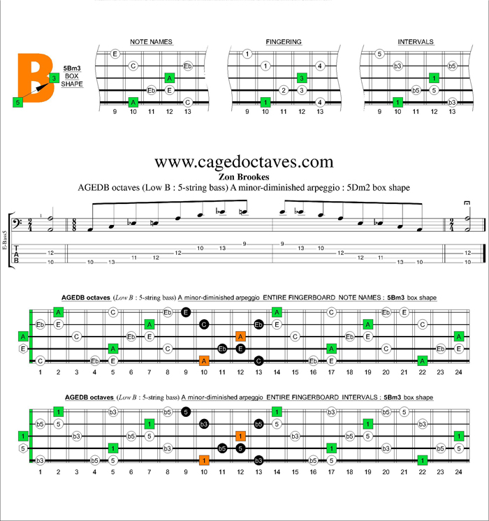 AGEDB octaves A minor-diminished arpeggio : 5Bm3 box shape