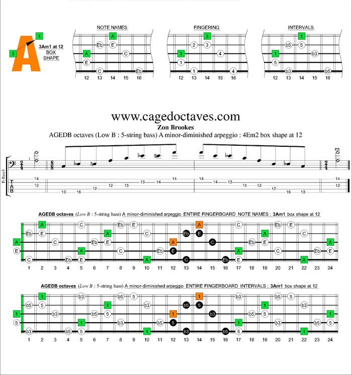 AGEDB octaves A minor-diminished arpeggio : 3Am1 box shape at 12