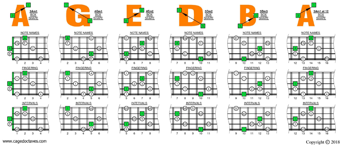 AGEDB octaves A minor-diminished arpeggio box shapes