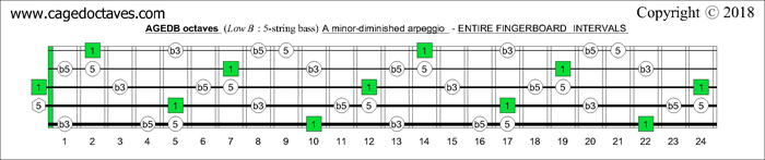 AGEDB octaves fingerboard A minor-diminished arpeggio note intervals