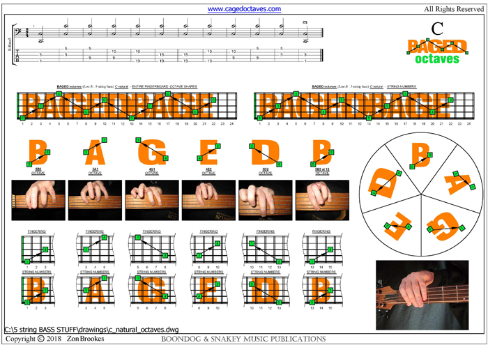 5 string bass (BEADG - Low B) C natural octave shapes