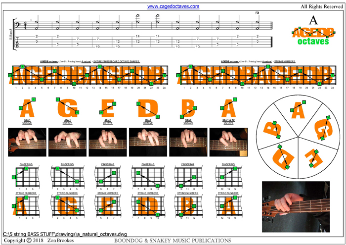 5 string bass (BEADG - Low B) A natural octave shapes