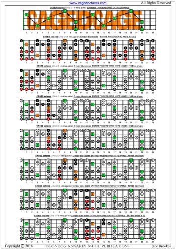 CAGED octaves C major blues scale box shapes : entire fretboard notes