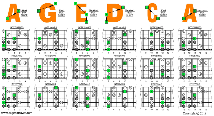 A minor scale Drop D box shapes